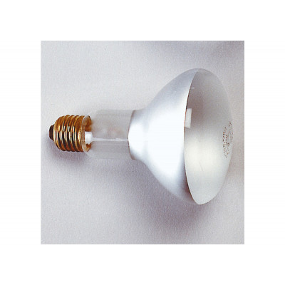 Kaiser Lampe Photoflood, 150 W