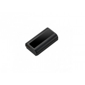 Panasonic DMW-BLJ31E - Batterie pour Lumix S1