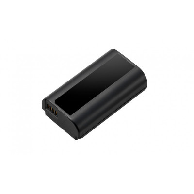 Panasonic DMW-BLJ31E - Batterie pour Lumix S1