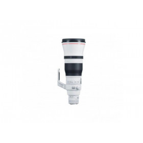 Canon EF 600mm f/4L IS III