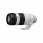 Sony FE 100-400mm F4.5-5.6 GM OSS