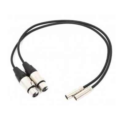 Blackmagic Video Assist Mini XLR Cables (la paire)