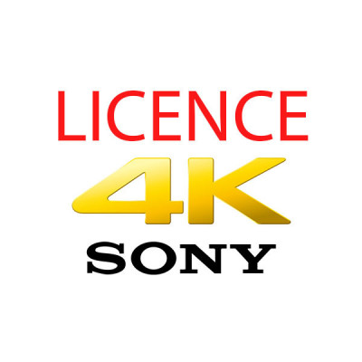 30 days 4K capturing License for HDC-4300