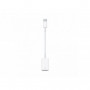 Apple USB-C to USB Adapter