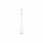 Apple USB-C to USB Adapter