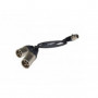 CABLE AF 50 CM MINI XLR-5F/2XLR-3M WISYCOM