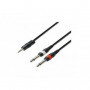 Cable Jack 3.5 stereo Male, 2 Jack 6.35 Mono Male Neutrik 2 Metres