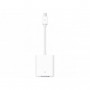 Apple MB572Z/B - Mini display port vers VGA