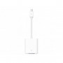 Apple MB572Z/B - Mini display port vers VGA