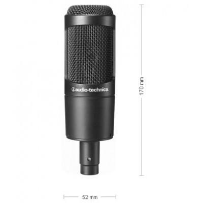 Audio-Technica Large Diaphragm Condenser Mic