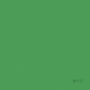 ROULEAU FOND PAPIER 3.60 X 30M VERY GREEN BD