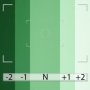 ROULEAU FOND PAPIER 3.60 X 30M VERY GREEN BD
