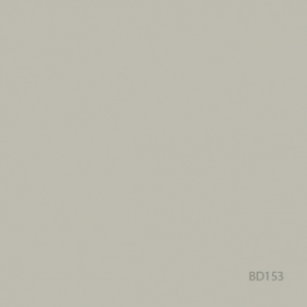ROULEAU FOND PAPIER 2X72 X 11M PHOTO GRAY BD