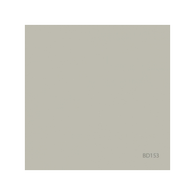 ROULEAU FOND PAPIER 2X72 X 11M PHOTO GRAY BD