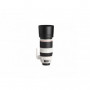 Canon EF 100-400mm f/4.5-5.6 L IS II USM - Video Plus