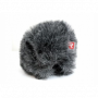MINI WINDJAMMER TAILLE 155 RYCOTE
