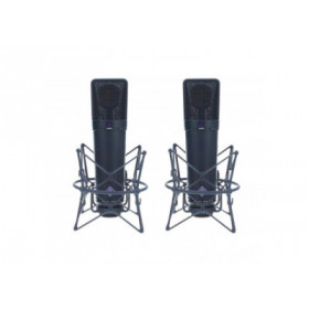 Neumann U 87 Ai(x2) Micro grande membrane Omni/Cardioide + EA 87(x2)