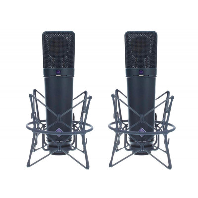Neumann U 87 Ai(x2) Micro grande membrane Omni/Cardioide + EA 87(x2)