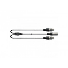 Cordial cable en Y XRL male / 2 XLR Femelle 30 cm