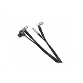 Hawk-Woods - Zacuto Gratical Eye - 65cm - Power/Video Splitter