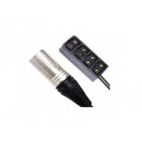 Hawk-Woods - Lemo 0B 2-pin PlugM 4-way Power-ConF, 30cm