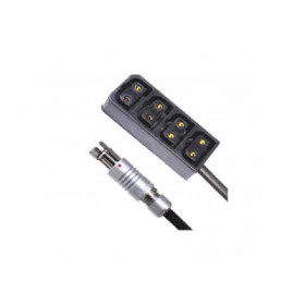 Hawk-Woods - RS 3-Pin - 30cm -  12V Regulated - 4x Power-conF Adaptor