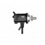 Godox MS300 Flash studio 300 Ws