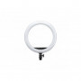 Godox LR150 RingLed  Bi-color