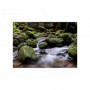 Canon Objectif RF 14-35mm F4L IS USM