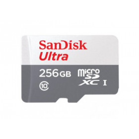 Sandisk Carte M.SDXC Ultra 256GB (UHS-1/Cl.10/100MB/s) +Ad "Tablets"