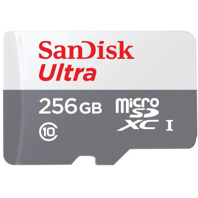 Sandisk Carte M.SDXC Ultra 256GB (UHS-1/Cl.10/100MB/s) +Ad "Tablets"