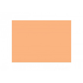 Lee Filters Feuille 204 Full C.T Orange 0.53 x 1.22 m (CTO)