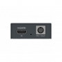 Magewell  Pro Convert HDMI TX (EU)