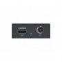 Magewell Pro Convert for NDI to AIO (EU)