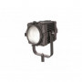 CAME-TV Boltzen 100w Fresnel Fanless Focusable LED Daylight