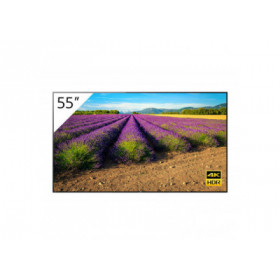 Sony BRAVIA OLED 4K 55 '' Android avec tuner