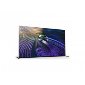 Sony BRAVIA OLED 4K 65 "Android Pro avec tuner