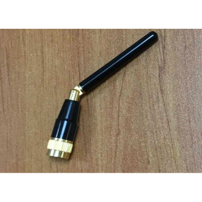 CVW Antenne 2dBi - 2 directions
