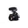 Boya VM600 Micro canon super-cardioide Controle de niveau 2 positions