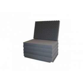 Porta Brace PB-2550F Hard Case with Wheels, Foam Interior, Airtight,