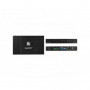 Kramer TP-594RXR Emetteur HDMI Audio IR & RS-232 sur HDBaseT 2.0&USB