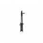 Manfrotto 231CS Pied lumiere, roues avec frein, base amovible