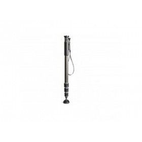 Gitzo GM2542 Monopode Serie 2, 4 sections, carbone