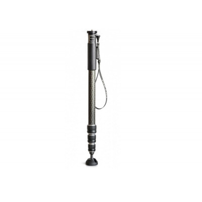 Gitzo GM2542 Monopode Serie 2, 4 sections, carbone