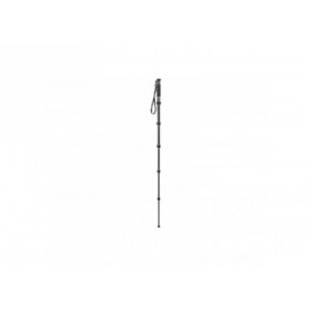 Gitzo GM2562T Monopode Traveler Serie 2, 6 sections, carbone