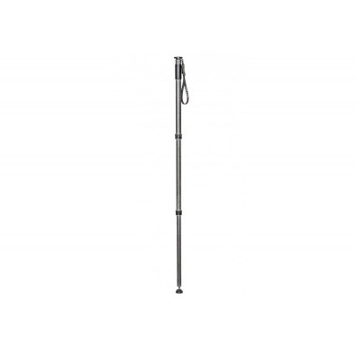 Gitzo GM4532 Monopode Serie 4, 3 sections, carbone