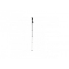 Gitzo GM4552L Monopode Serie 4, 5 sections, long, carbone