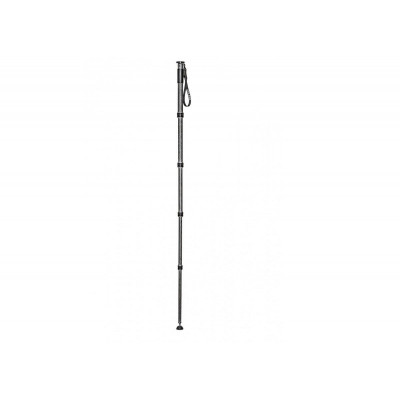 Gitzo GM4552L Monopode Serie 4, 5 sections, long, carbone