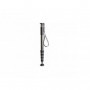 Gitzo GM4552L Monopode Serie 4, 5 sections, long, carbone