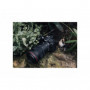 Canon RF 100mm f/2.8L MACRO IS